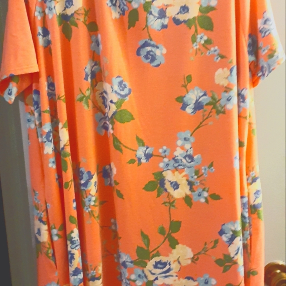 Silhouettes size 4 (26/28) pink floral dress